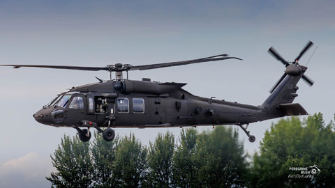 Royal International Air Tattoo 2025